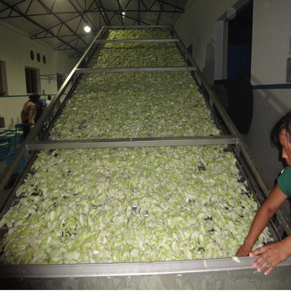 網帶式蔬菜烘干機