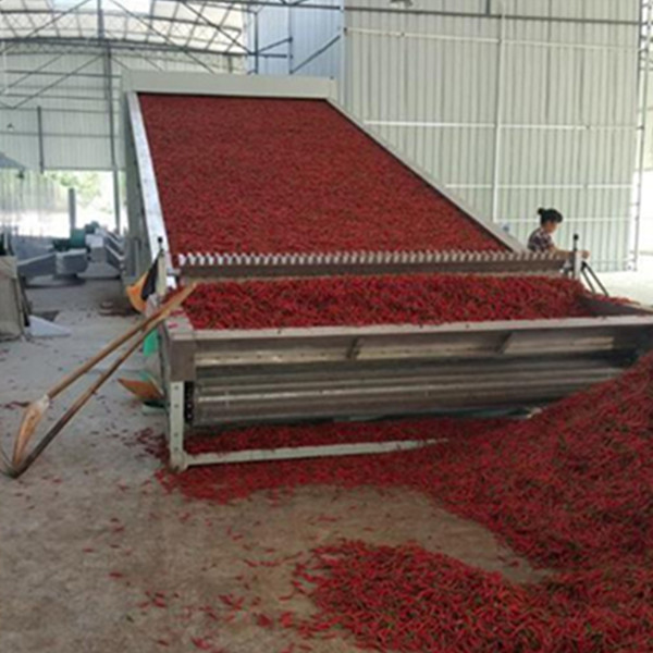 網帶式辣椒烘干機