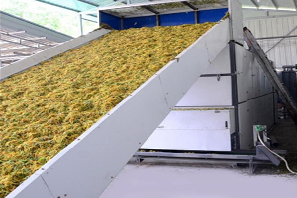 網帶式金銀花烘干機