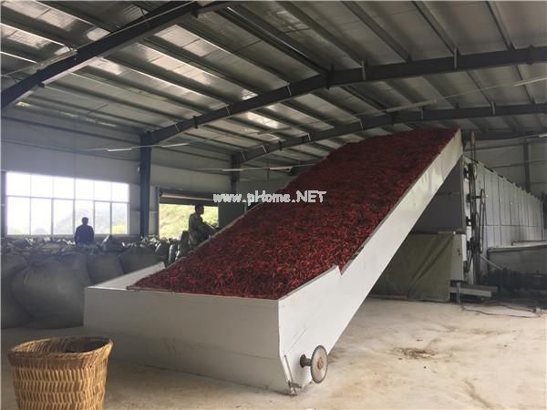 食用菌網帶烘干設備